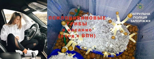 гидра Володарск