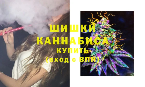 гидра Володарск