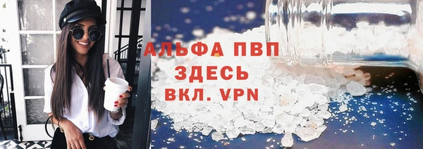 гидра Володарск