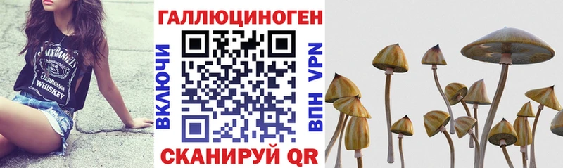 Купить где  Моздок  Галлюциногенные грибы MAGIC MUSHROOMS 